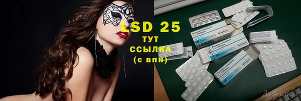 твердый Лагань