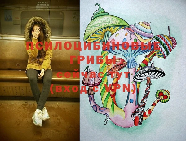 дживик Кукмор