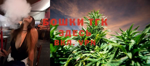 твердый Лагань