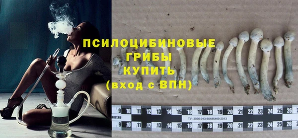 твердый Лагань