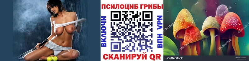 цены наркотик  Скопин  мега как войти  Псилоцибиновые грибы Psilocybine cubensis 